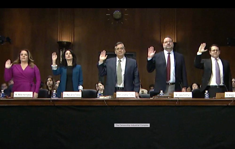 5 people being sworn in at Congressional hearing. In a blue blazer is Dr. Mary Anne Franks, who slayed with her testimony!