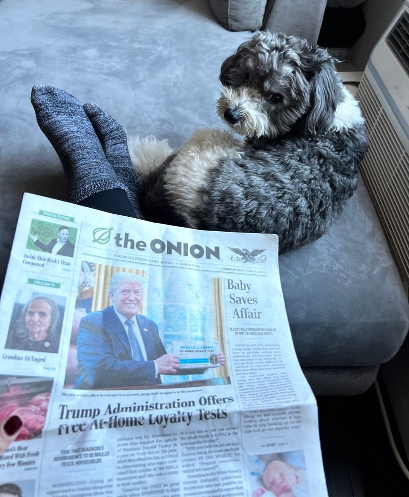 Reading the front page of the Onion with dog sitting at my feet