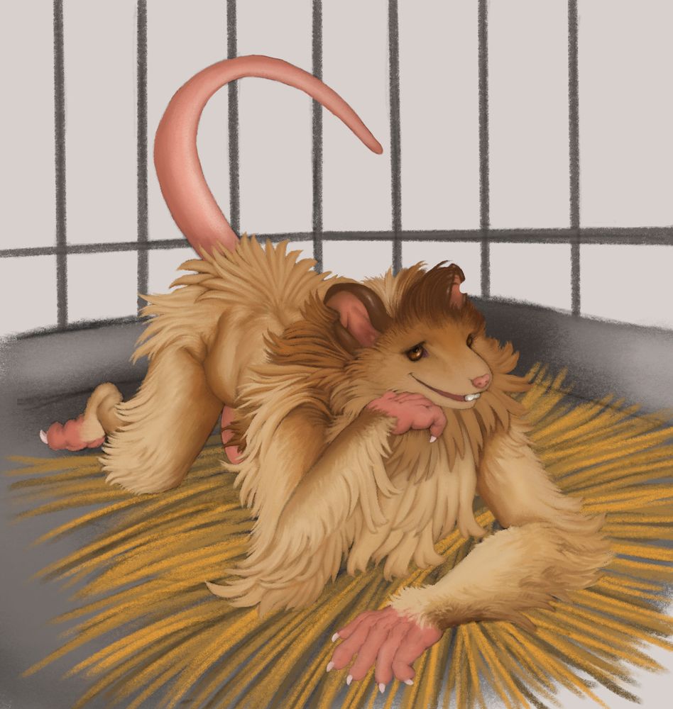 Male Woolly Mouse/Woolly Mice. (Fully Rendered)