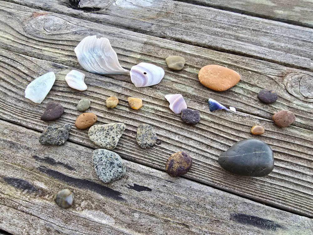 A collection of sea shells, rocks, and a couple agates collected from the shore