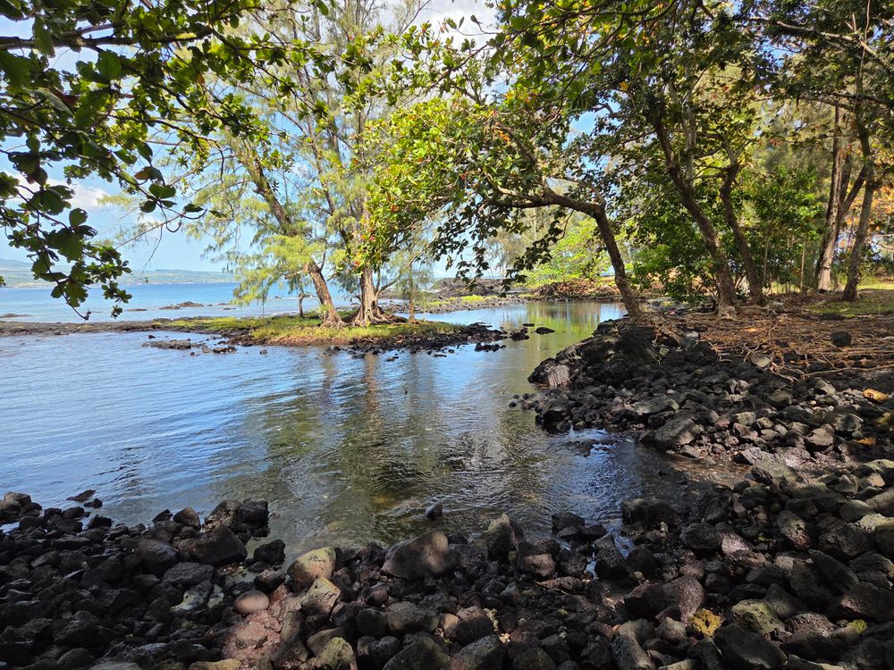 Rocky tropical shoreline lagoon, partly shaded by multiple trees. The water is glistening,  with a few small ripples.