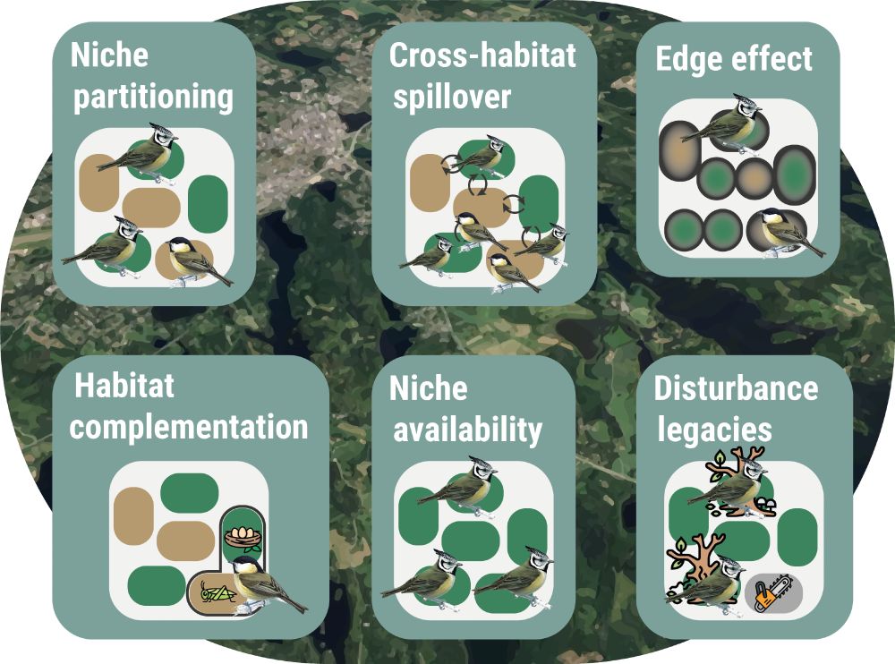 List of the main landscape mechanisms found to affect bird communities.