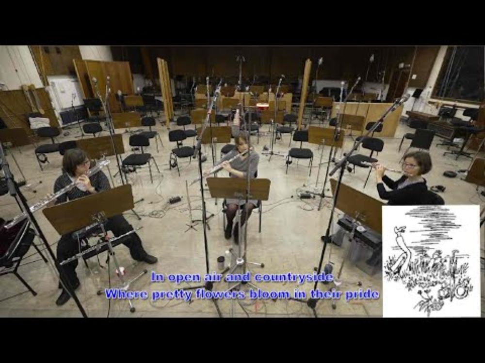 The Earwig Song for flute trio (flute, alto, bass) (+English translation of the Wilhelm Busch poem)