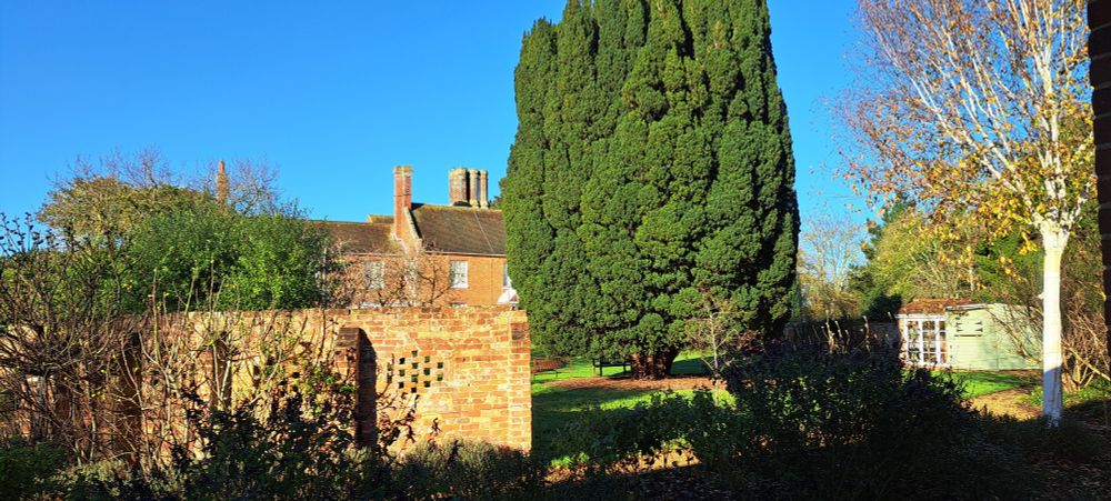A sunny autumn day in a large garden.  Warm sunlight glows on a serpentine wall in the foreground, over which peeps a 19th century brick farmhouse behind a tall yew tree.