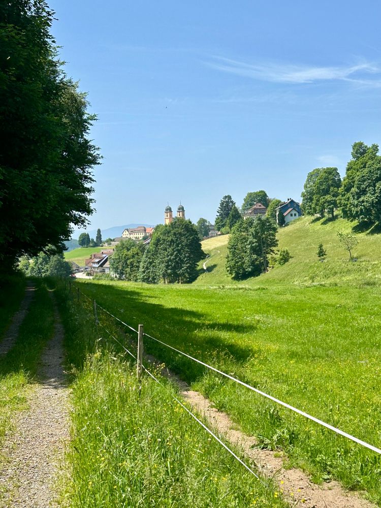 Blick über eine Weide in die Ferne. Dort sieht man die beiden Türme einer Kirche und ein paar Häuser