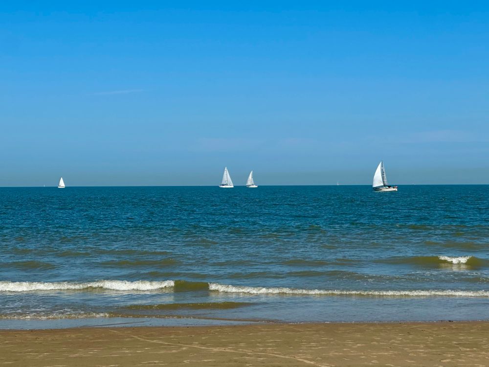 Kleine weiße Segelboote auf dem Meer