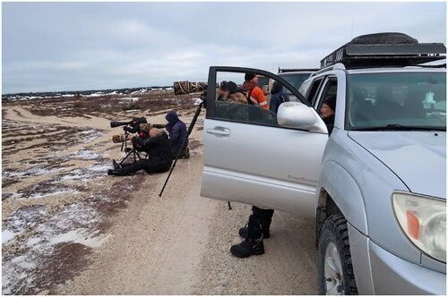 Photographers capturing images of a polar bear in Churchill, Manitoba, Canada. Photo by Philipp Budka.