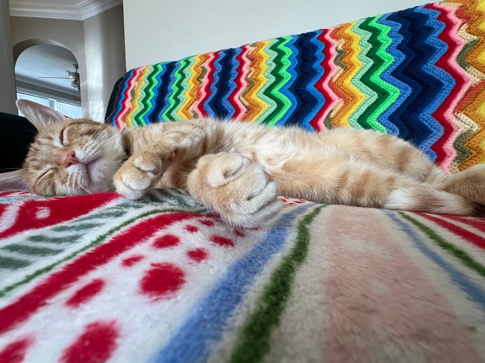 sleeping orange cat laying on his side on top of a blanket with a stripped pattern