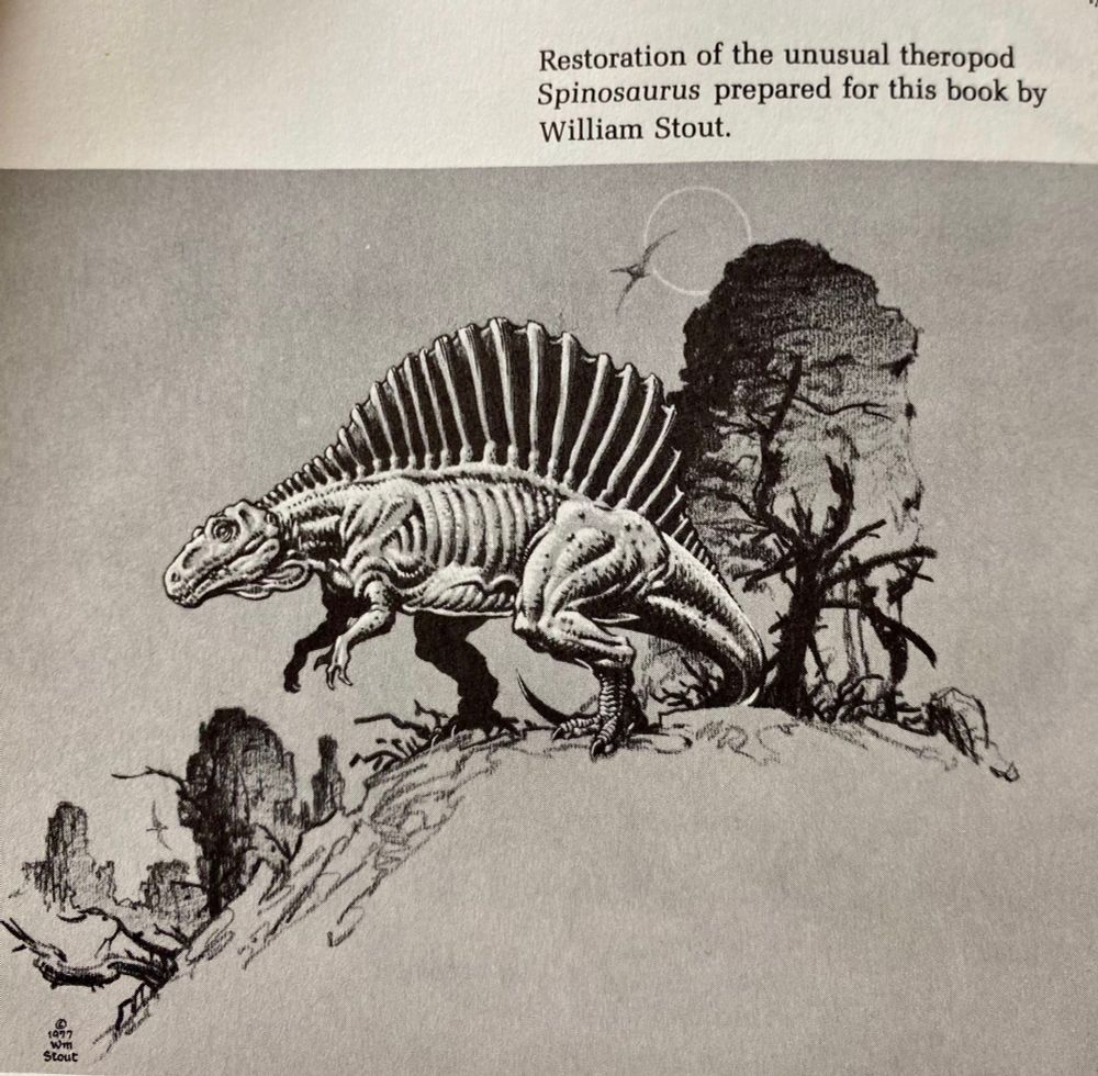 Spinosaurus in an arid environment drawn by William Stout 