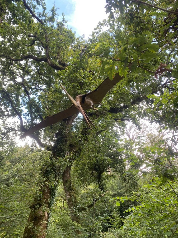 Pteranodon swoops through the trees  