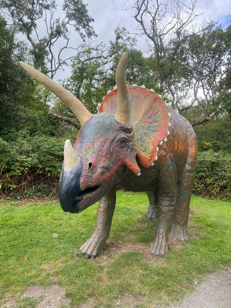 A mighty Triceratops  