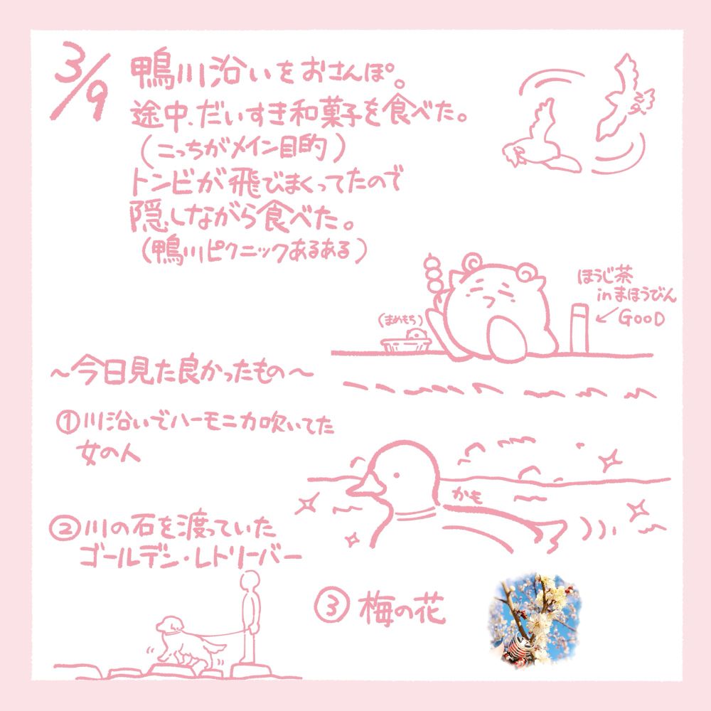3/9 鴨川沿いをおさんぽ。途中、だいすきな和菓子を食べた(こっちがメインの目的)。トンビが飛びまくってたので隠しながら食べた。