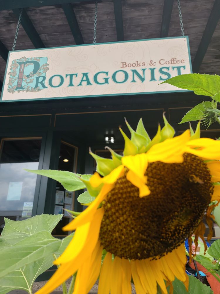 In the foreground a bright yellow sunflower with a tiny honeybee on it.  In the background, a white shop sign with the store name printed in blue-green ink. The store is Protagonist Books & Coffee in Dryden NY