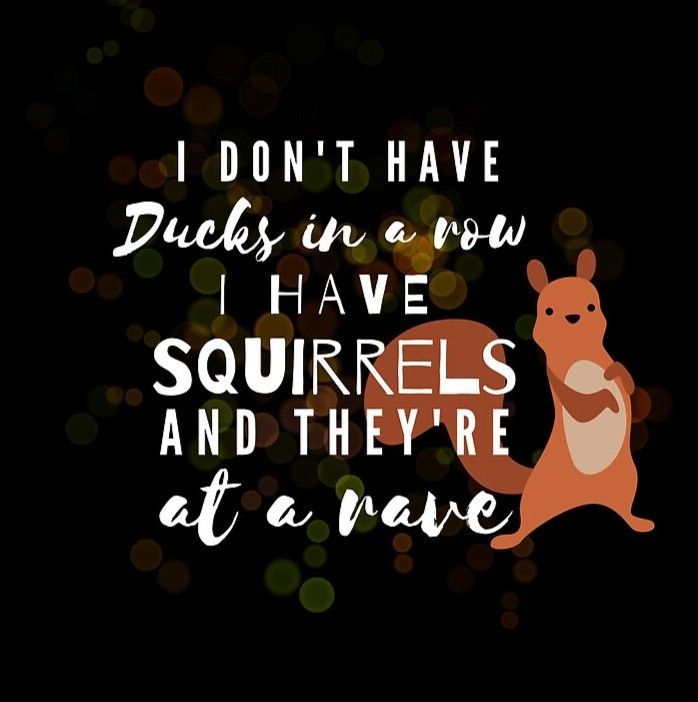 Abstract picture of a red squirrel standing on its hind legs. The text reads, "I don't have ducks in a row. I have squirrels and they're at a rave." Picture by xxEtcetera