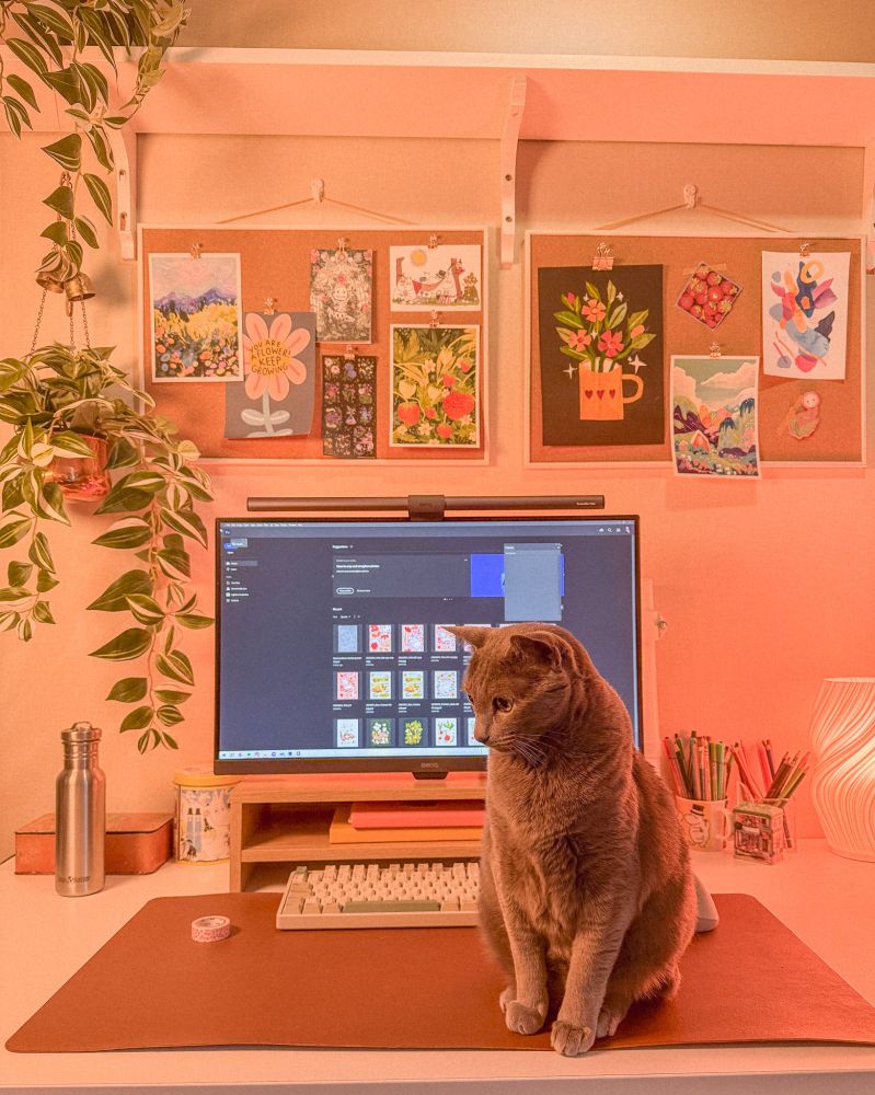 A photo of my desk where my grey cat is sitting looking off to the left. Behind him is my monitor, keyboard and pencil cups. On the wall are corkboards and hanging plants.