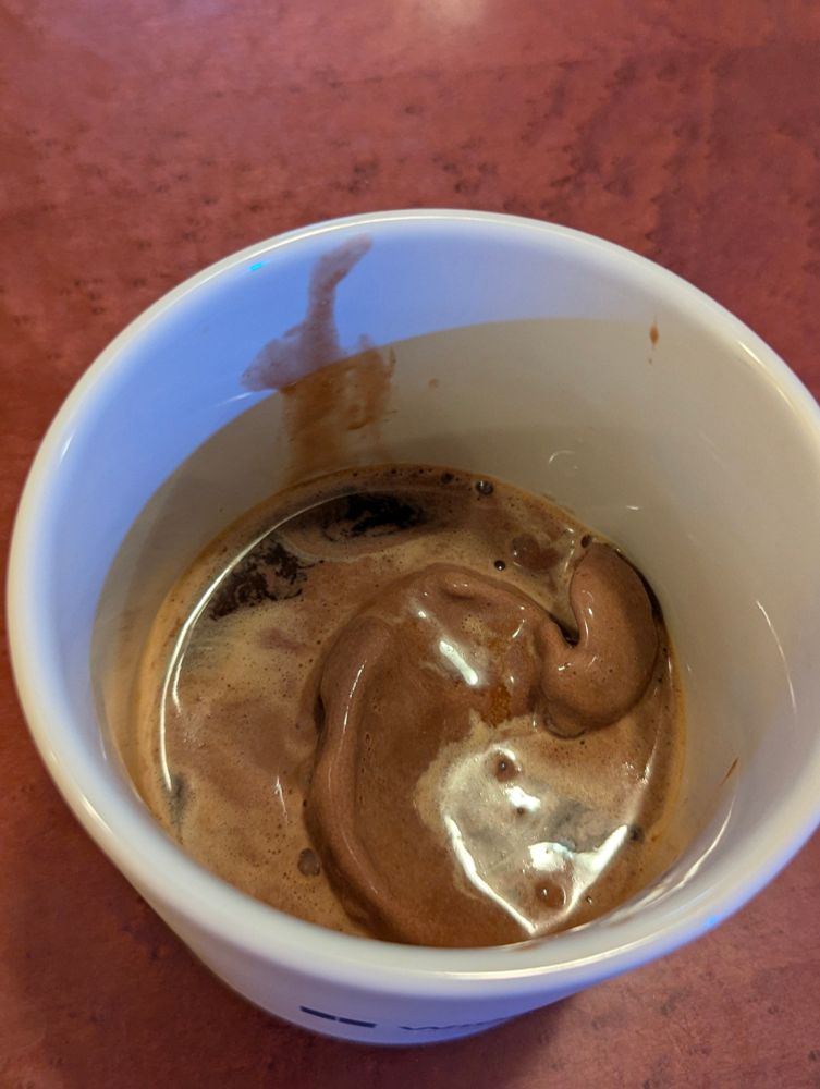A really pathetic-looking affogato 
