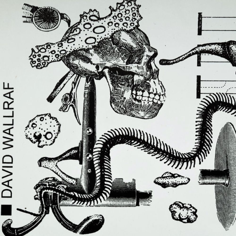 Fin Du Monde, Fin Du Mois, by ■ david wallraf