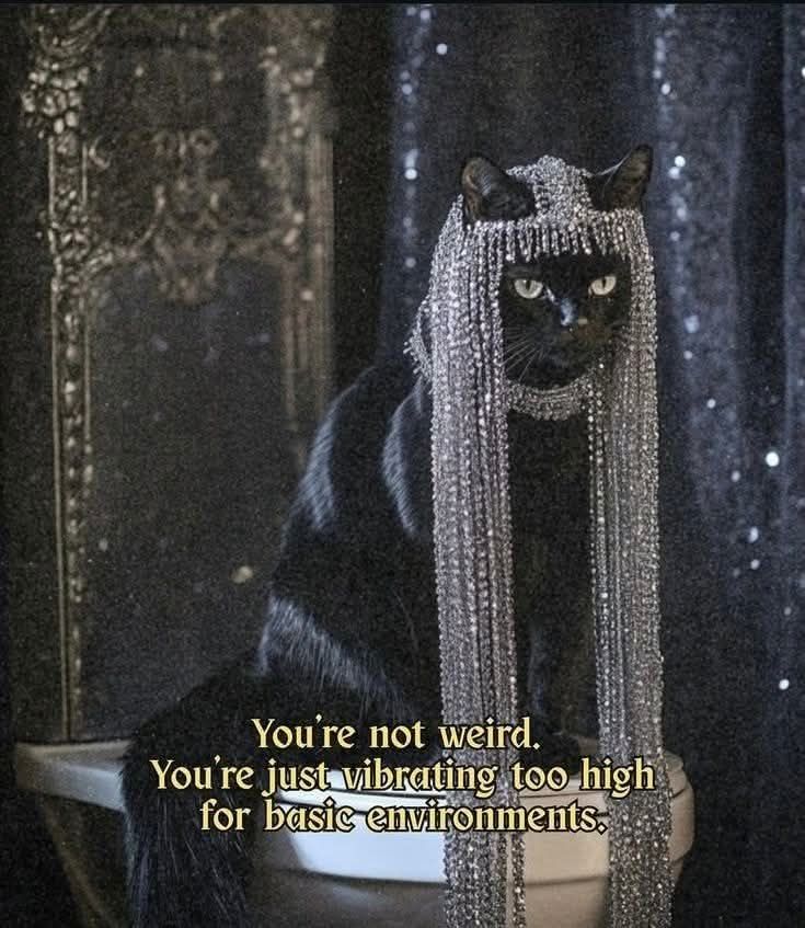 A black cat wearing a long silver headdress with the words you're not weird, you're just vibrating too high for basic environments