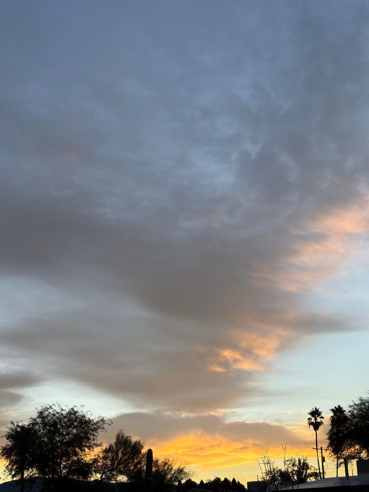 Yellow dawn light beneath gray clouds, with some trees and a palm near the horizon.