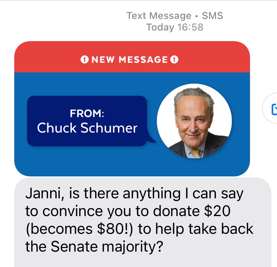 Text from Chuck Schumer that reads, “Janni, is there anything I can say to convince you to donate $20 (becomes $80!) to help take back the Senate majority?”
