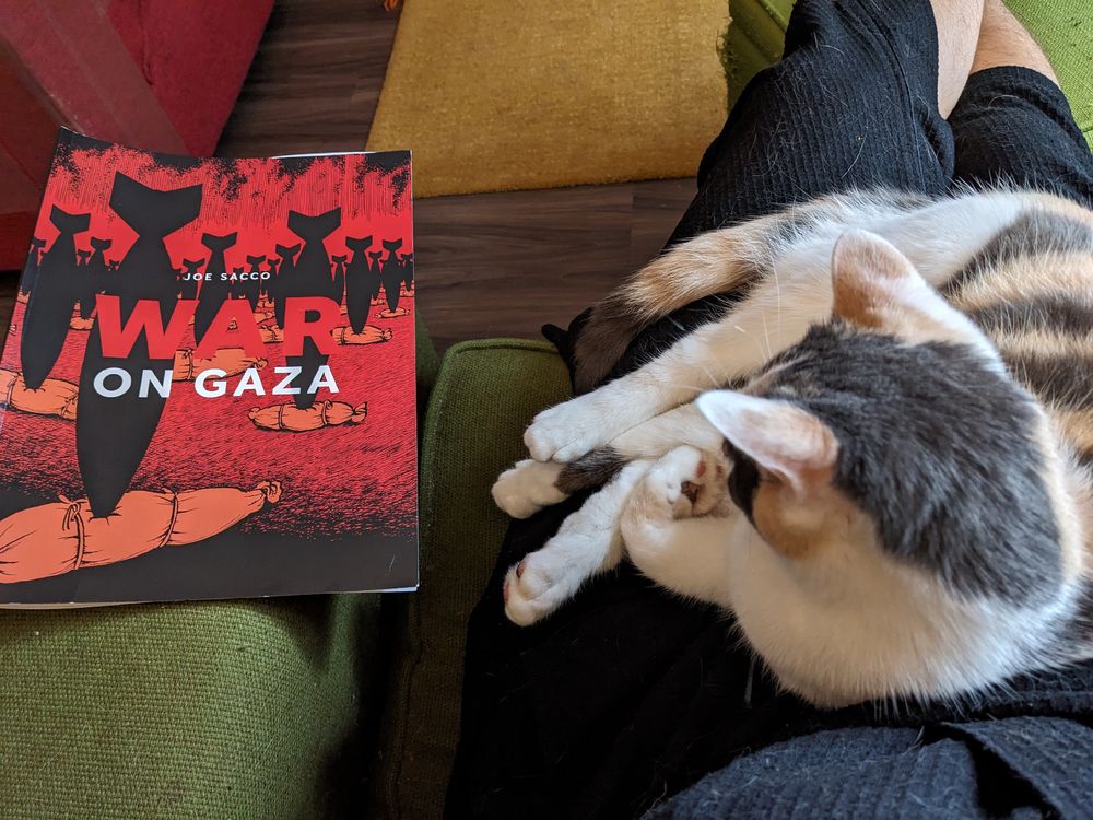 Calico cat in the photographer's lap with the book "War on Gaza" to the side