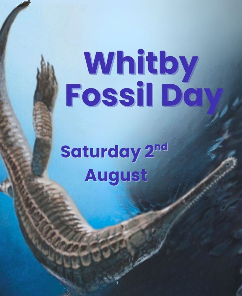 Whitby Fossil Day Saturday 2nd August written alongside an illustration of a prehistoric marine reptile swimming amid a shoal of fish by James McKay. 