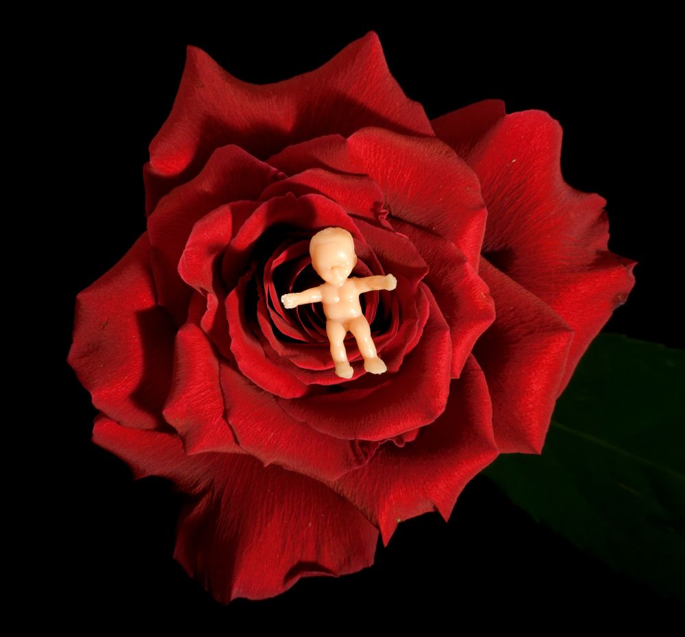 A tiny plastic baby, with arms spread wide, lies in the center of a blood-red rose.

This photograph is by Mike Smith who is an artist, photographer, and Mardi Gras float designer born and bred in South Louisiana. 

"The enchanting presence of the baby, cradled on a bed of a single rose, speaks to the sacred solitude and comfort of the womb," says Smith. "Surrounded by black, darkness adds the timeless sense of the unknown. The plastic sheen of the baby signifies the reification of light. The rose, blood and life, imbued within the geometry of time, calls forth the immortal nature of the soul." 