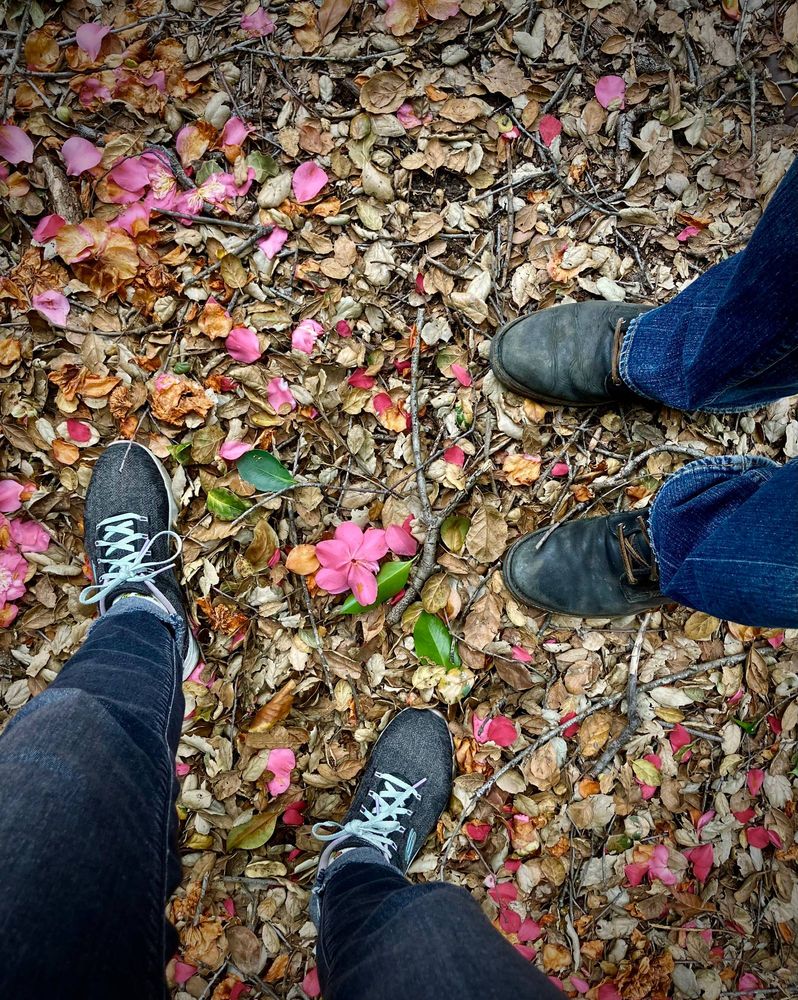 Two pairs of feet stand together outside. One pair of feet wears tennis shoes. The other wears black work boots. The shoes stand on dry leaves, broken twigs, and fallen pink camellia blooms. This photo was snapped while on a stroll through the woods.