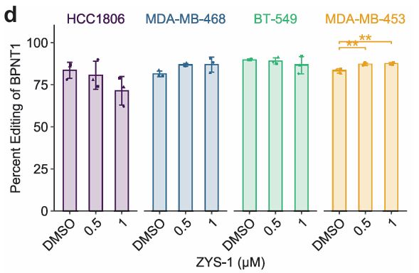 Analysis of A-to-I editing for a site within BPNT1 in cells treated with ZYS-1 or untreated.
