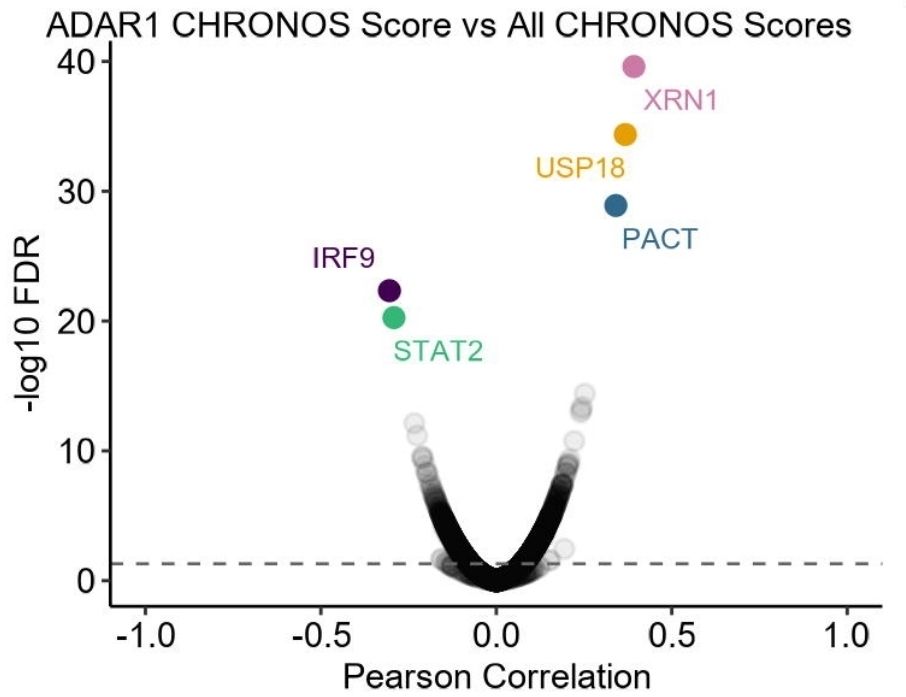 Volcano plot of Pearson correlation statistics for pairwise comparisons of gene dependency scores with ADAR1 dependency score