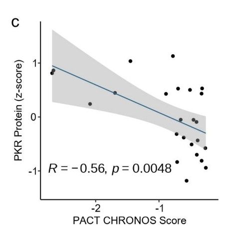 Correlation between PACT dependency score and PKR protein abundance 