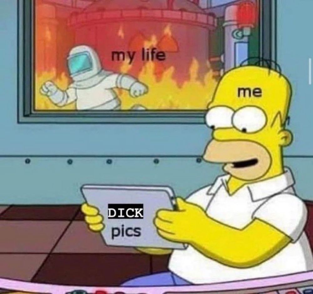 Homer “me” looking at “dick pics” on a tablet while the plant “my life” burns