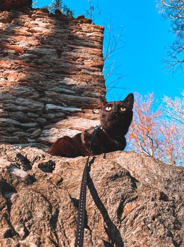 YmFzZTY0IC1pIHJlcXVpcmVtZW50cy50eHQ=