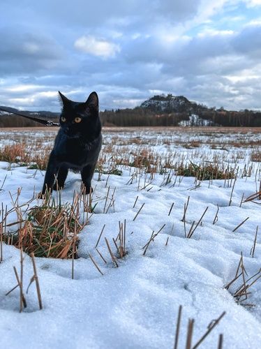 Q0I0QndNZEZPNmVxdTRkODFRbmFhMFRyTlNKY2xwYTJ1Z2RpMWRPcmhEdFBsMVZ1QUNPU3Vmc0E4WGVpMHRwUzB4Nld0bG9sdUZ5cGtTR3Vuam9SUHNtMysxQXp0dEcwamNRUVRuSDM0Y0x4cVBqTTVLc3hpMW8reDJqUzlOUGM3TFZ4MGR5cUpGRU1VSFBwMCszZjYyM0dON0VxcTVKd1FjZUQwUnNPbTlXTFFUdFVkdGEyOUZKaFBBS211OUpJM0FZYmlxKzV3SFluR2VXd1dPTWpyUHF5NFdxbnFiWnB4SzRVMWZkVlNuRUxSZ1BDbUFNc1Fkb3dEbmNPTWsvMDZacnZlOUhhZC9ES2ZRK3BhdDZ5c1dVVjFycFhaeEZ0RzFHZDNCSWRpeCtxaFFvUE9jZE14Zm0xR0JrM0FBa0xTVi9xN2RTczFSU0xVdFRxQTlUR1d3WkZHMEFLQmpBWlMyM2duUFBIUWJXZFJYVys0MVU4OUJINjgvOEF0YUlhb0trTEZRRlVnSERNQmdZeDdjOUdhKy9hbGVrc2tWMjFUU3BEY05pczFMa09GOVVvUTN0QXl1TnhPUndmdVRoVTdzM2ZURk5lYXFsMDFRZXJSUk9pMEJUOU5URkZJeWlXUXFlV2R4dkxMd1JnQVk2cFZKZmVFelV1MFdhcW12a2l2VDNLQ0tvZ3FXMnhLMFA2am5HOUNmcUd4a2puNkhxUmFxcUxURituTnh0Z2Q0V0N0Skt1ZlNVWkRQendUOUIrNUdPcEdrTlIzR3B2RXR0cUFzY05mVmJvWkhnMkdrVlNHTEtTUDArd1lBUDA1Njdhcmd0OWJXMVZ6cFhxV3BEUlJ5VHRHQ0dNaGJCeUQ1OXluNitTUEhXZ0hlanhNNUcxam1FcUdxcWJxa0Z6YUNPS0F5SzdNc0JXVUlTZHBaaituajZqNkFmZnE0S0RSdG1tMHp6V004cGJNTXRNL3dDVzRIa3Z1VTdzNEdEOUFQcjFSK2x6WGF4dXNjVnRTVzMwOGFoWWhVYmN1a2FnbEJ6NUlVOFp4eWVmcDFjZEZxYVBUK20zcjlTeDEzeWxXN2lCbzZjeUpNKzNPd2JmL0tBQ2VCbjdaNnhkWCthbG0zcEdOVzBSZFhhcnBhUzMxOUJiYUd0Wm1WUzhUVnZwVXFMdUJ6c0FBa083bkxlTWNkSjhtcUtpanJaS3Q2S2lxYWlPTXJUNzZkTmtMTmhkd1ZSZzRCWWpJKzUrL1UrODA5eHZsUTlkTlQwVVJaQ3lKTlViVWdJT1ZKWmYxTVFjZmJ4NDg5RTlCOW5yM3FpNVFpbnJaakl6aWV1dUNiSTBwNFYvN3NLd3dTUWNqNmtmWGpwNjZNT0syaVdMNXMxTEoraUJCcFNwVzQzM1VzOGJ5ekF6VUZVdUdjSTJNc1Q5TnhaUUI5U0IweVZPdXJEUXhyWkxaU1J3SlQrcFRVTDBTTnRiZXVmVGRGVEp3Y2huSElYa0JqMGxhMjdXVWxrdWRWYWJsZDFDK3F6VDFsU3hKZGRxdUNRb0pCT1ZQbkF6KzNRaW12MXJ0SHBUZkwwMVZETnRWYWlla01ucDg4c0FmRGc0enhrak9PbGhWemVZUWl4eG5TWTM2ZjdsM2l5MFRXT1hUdFpSMDd5R3BGVFRTbHFkRkViTmhEdHhLWEJUSlBLN1J4OWl0bnVXaUpiU2E2cnRLUEkwalRVU3h5YkpGWWdtWDFJZ0NqRnVBQ0NBU09jNUhTaGFkWTFPbjMrUXNVNjBiVWxHWmFMWWR2cVNlM0xiZVRsc0R6OS8yUFFxeWFnTjdTYXYxSHA2aWtGVlVKTlVUVS8renlzaXliaU1JY0ZjODVDNE9DRDllaU9NR05USlEzbGt6NjlzRjVWM2lycFlVanRoU25jVTRramhRc0ZkV1Zkd0pCY1k5bVFjaklCd0ZlNzY1dEZ3dUg0elNtQ1o2cUpHekZHaUJ5QU1rb29WZHdkU1FkbzRJQkRI