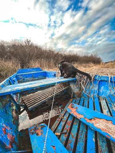 MjJnMXRmTkdhU3VNdDB0RnZ0Y2xMVUxTU2dWTWtaY2V6ZDdodlo4RmdNK2VHNkpVTlBiclBZYW1iVUZKUVcra3BKYWVtdDFub0oySmpsemtwUFB3VGs4c1JrKzM5c0hTY2xHaDNtZlJhMlRQbmIzUTkxdGxvdWVzVG9ZelNWcFdDanJLMGJxYW1naWJPd0VnbmZJVUtCeHdBR1BKSTZ5WHl1cnA2cXR2TnhFWXVGVFZ6TFVRVTNzOVBkRXV3SUQ0UlVVWTVKTzNucVZSWHhxbW1sL0JLcDU1NTBTTnFTaWdkcWFGWXhpTmZKVEFaczVETU1jRnM1eUkxUlI2aHBhbjhTamVHcnFHcDJrcTZwYWdLM3pEbjJnQmVBTWJSZ2NZNDZtVnRUMTZTWWtJVy9XVmRyQ09raG92UmVmOG1XWlF3WWdCc2VEeHlRT1QvZlBRaEo0YUttcUo0bjJyR21JbFU4eU1lUDhBbDBRMUZRd3pOTEk4MHMwdE95b1pERVZRSGtsRko4bno0L2ZxVkZwcTE2Wm92a2JsYUtlb21yWUk1akxrbDZkWHpqYmp6anpqK25XMVNFUUF6R1FXZmFDeUpYbnB6VlNSeXhsZ1dRTjdzTDd1ZnNQSFQ5b0JSWFdpYUg1aVdKWko4S29ER1RhT1F1UjVYUDAvZnFOWk5LNmRiVWdrcnFxTVVTd3F0RFRTK3cxWkhseXZuYiszOXVyTnNGdXR0WFV5elFRQ09ucDAyeU0vdDJrRGdESTRBSng5UEgwNnlaODMvcUowT2x3bWl4blN1MGs5dnROVlcxV282SkdqaGQ0bzFxUzhrZ0tuSjQ0SDJ3VDFYTnBwcURVMnA2ZUs2bzhrazFRcWlTbnFWak9BUUJnZjB4eWVyRjFYWTIxRDJ2cjVKTHhESDhpa3pxMEpHQ0ZYRzFzY2Nud0NjNUk2ckRSU212dVVWem5nQ1V0RElFbHFpTm9YY1BBSkk1SkI4L1k5S3hDc2JIdkdaVGVSVlBFdENYUTlaYTdiUEZGZGtpdDFCNlZTa1Qwc0lsUXVTQ2Q3RDh3amEyZjJIZzhEcUlzTm1xYWtXZWxldXJUVTBvZU5yNnhncHpPRURIYXl0c1ZWSU9NNHp4OWVPaGVxcjllYWJVYTZrdGtUWHVucDlrRWRKSkljVkNjYlFlTStlUVY4bnllbmlydk40N2thY3FkUDY0MHhUMnFtaU5QSkpGU0tyVDVjaEZqQmlRS3dKSTV6dTg1STZ6cUdWUVRHdG9MTUJFYWhTK3pXT0N6cFNVbEpUNzVJYWk0d3lnVTV3QTRiR2VRWFZjdU04bituVDVvRWFDZWlTTFJzTXQ4cThJMWJYeElCR0hkU3JRd2JUdVpnemNINmNaSTl2WEtYdC9vVGZWMitsdU5WVlMwY3l3UnBHMFVrRUxpUUFTSXJLY2dlU1FUeUI5ODlSKzN1b2JUcE84VnVyMnVsSmJLZWlqbG1vcVN3MG9ScGljbkxGdHdDckpHRlpUeWdQZzVEZE1MSFNhaTFRYWdUTmtkVTAzYXlrc2ROb0M0OXBiL2I0Ymo4ckRYM1MrVUh5c1RTcmhveTM2WTVhamVHWGZ1TWdZcUNTTWdpTlQ2MzdUZHhMOGJOZmRSdzI2Ny9BQ0tQQkRWUS9MbzRWUXJyTXg0bGZjdVNWQWJHTUE0UFFuVy9lZWdOV2J6Y1lscUxMZEVnVnFTUW1hbk81VUFtaVZtMitvVGxtRG9TTUVybmIxUjEyMVE5NnBxYWp2bGZhcmhEUW1WckpEVUxLYWluS2pjQzBzSUozTVRoVktzR1hsZ0R6MXk5R1hxR0RIYWROWHg0VTByTEUxSnBuUXFhVXV1bWUzdHd0NlhsTTFWWFEwWE1iSUhHeWIxRXdBd0xLUW96eVNDVk9SMVdHak80ZmN2VFUxTHJXL3RIWHdpbmtwYXl2b3Fsak5Hb2NJb1pYNVJsMmtER01odUR4Z28xRkpySzNWOVJXVnQ1