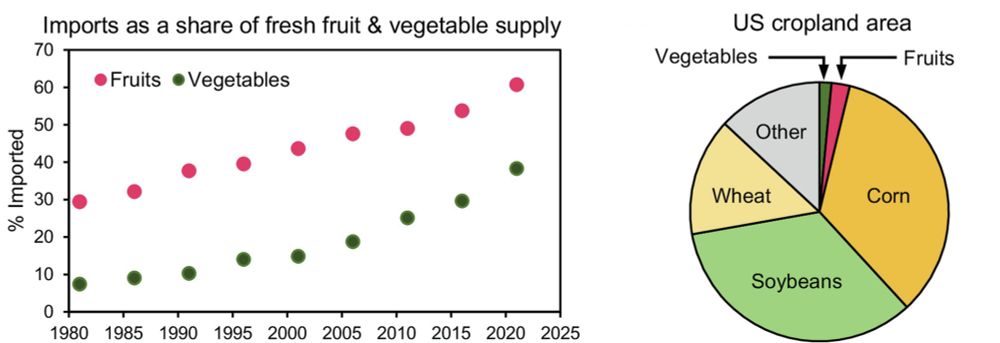 Left. Percentage of fruit and vegetable supply that is imported into the US. The trends for both fruit and veg show a steeply increasing curve, leading to 60% of fruit imported and 40% of veg. Right. Percentage of US cropland devoted to corn (30) soybean (30) wheat (15) and other (15), with fruits and vegetables being grown in only 10% of current cropland.