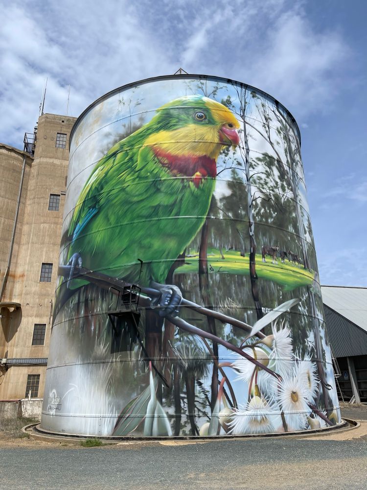 Picture of a parrot on a grain silo 