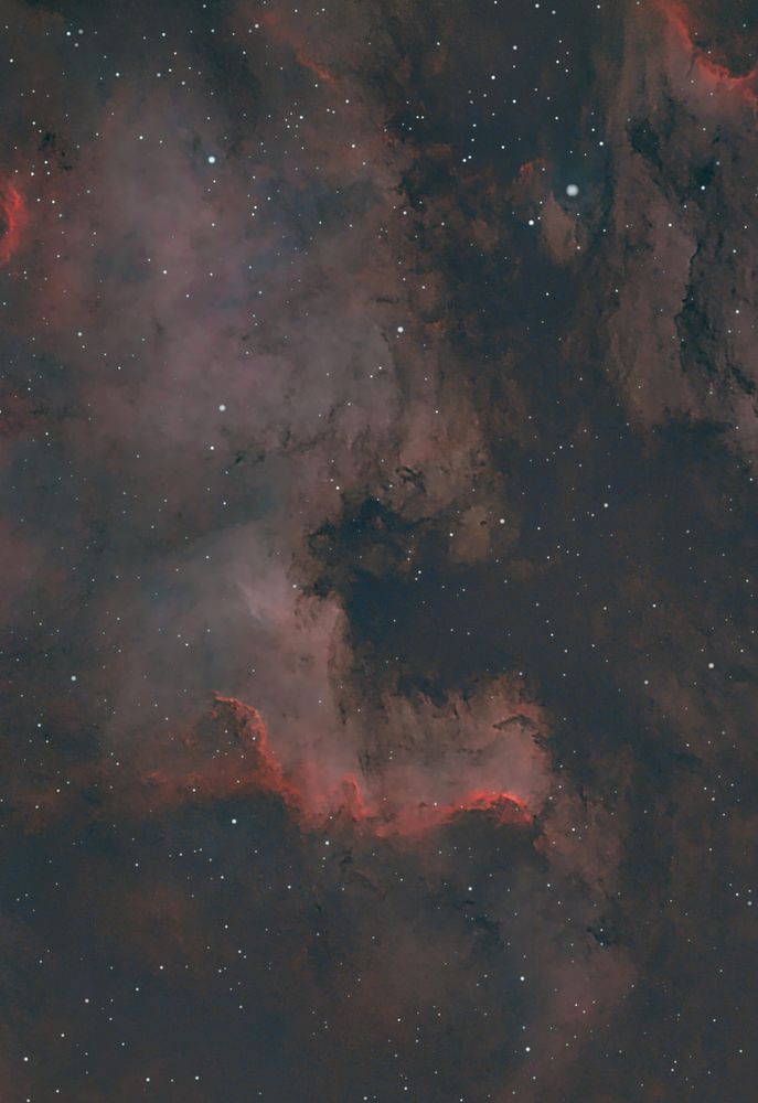 NGC 7000 – North America Nebula