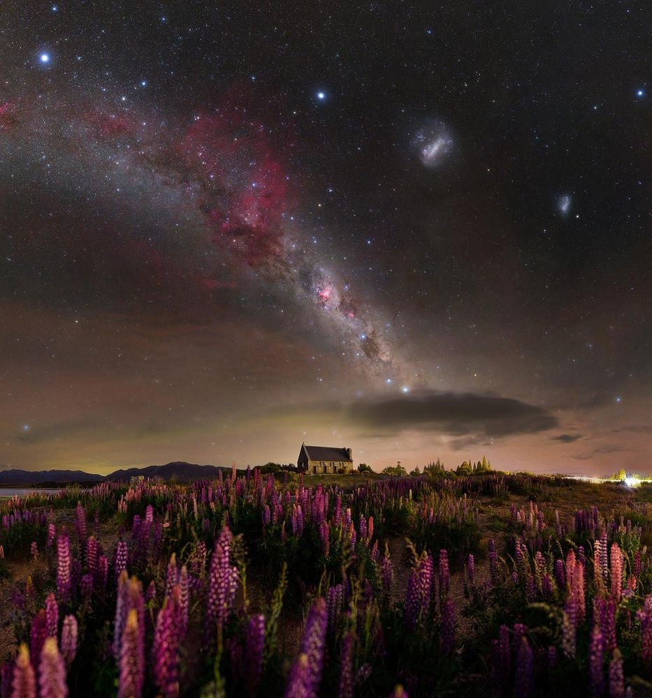 Lupines under the Milky Way canopy.