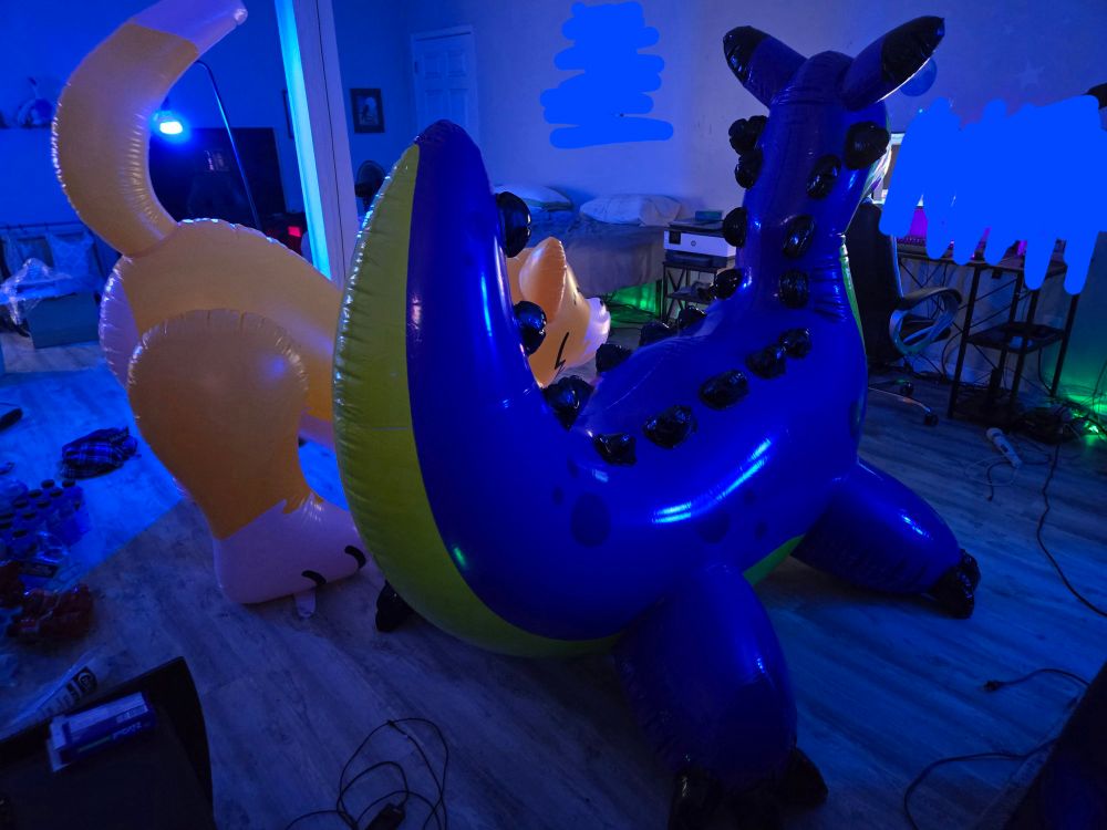 A picture of two squeaky toys! This one is from the back.