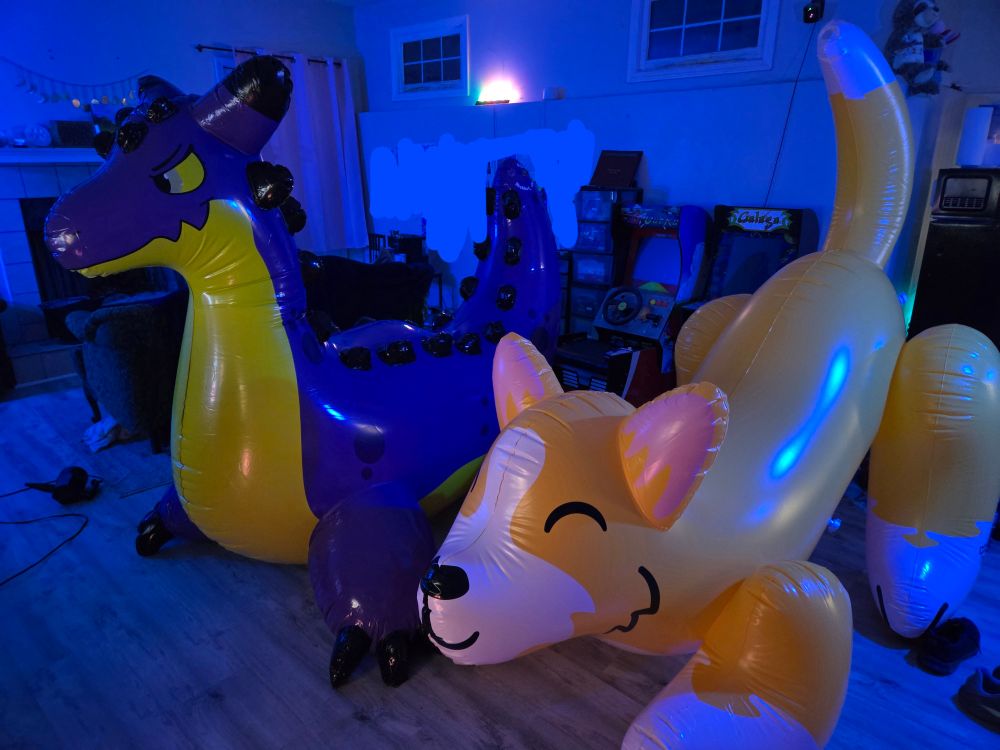 A picture of two squeaky toys! This one is from the front.