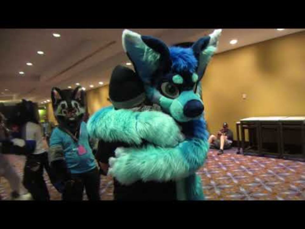 The Midwest Furfest 2017 Standing Completely Still Competition