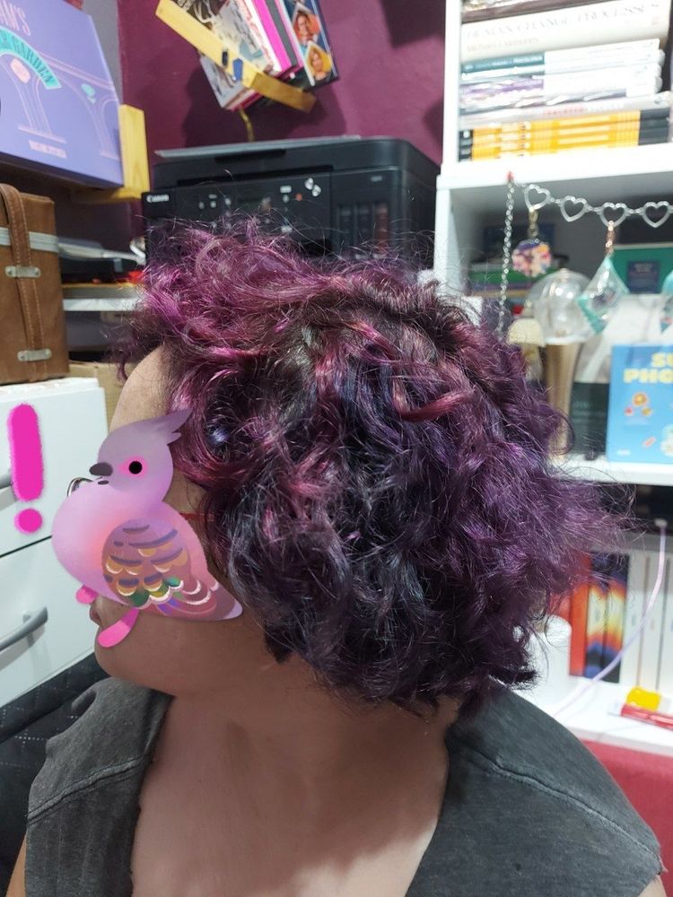 cabelo curto cacheado em tons de roxo do lado esquerdo (e um adesivo de um pássaro marrom e rosa cobrindo a lateral do rosto)