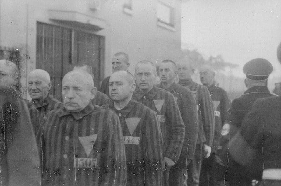 Black and white photo of homosexual men in a World War II concentration camp. They are identified by pink triangles on their uniforms. 