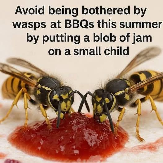 Two wasps dining on a blob of red jam.
Text reads: Avoid being bothered by wasps at BBQs this summer by putting a blob of ham on a small child