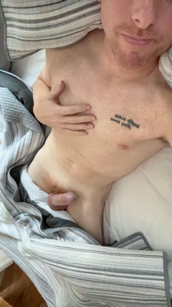A picture of me laying in bed with the covers pulled down exposing my erect penis. 