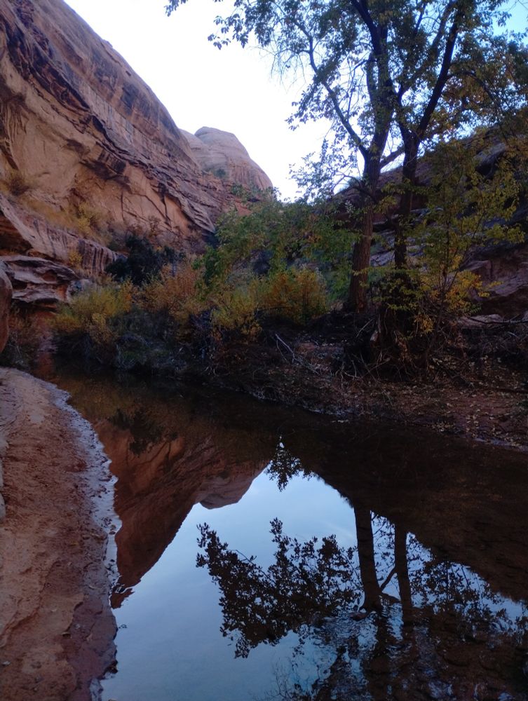 Stream through a rocky canyon. Reflection of trees in the water 