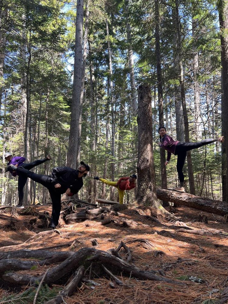 Four people arranged in the evergreen woods on fallen logs and stuff, artfully all executing side kick at the same time 
