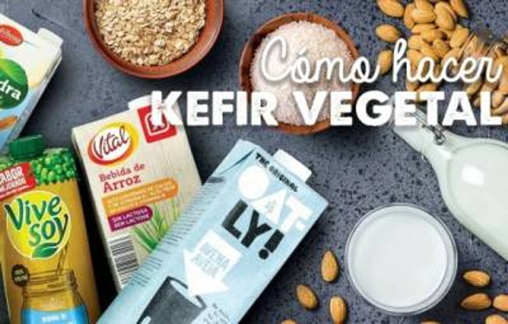 Cómo Hacer Kéfir VEGETAL | Guía Completa para Vegetarianos