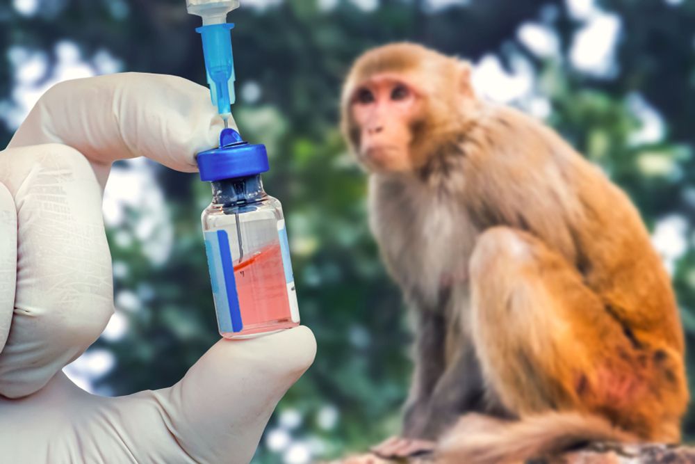 Moderna’s mpox vaccine prevents severe symptoms in monkeys compared to Bavarian Nordic’s Jynneos